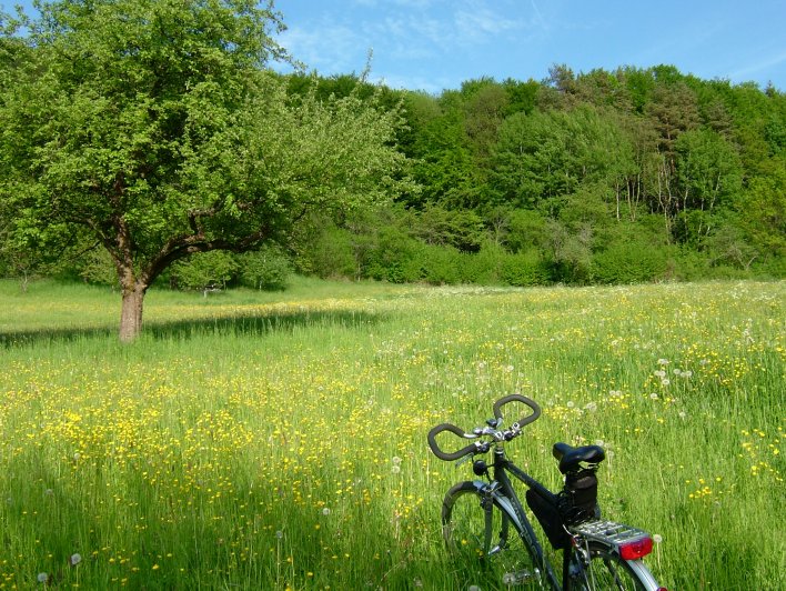 Sittenbachtal, 22. Mai 2005