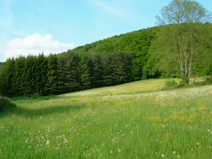 Sittenbachtal, 22. Mai 2005