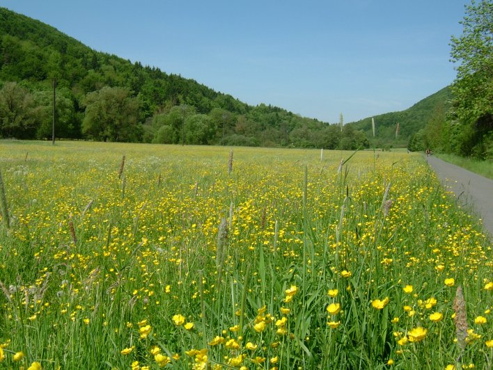 Pegnitztal, 22. Mai 2005