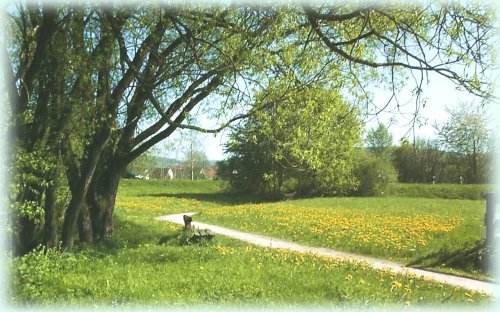 Kirchenweg, Mai 2001