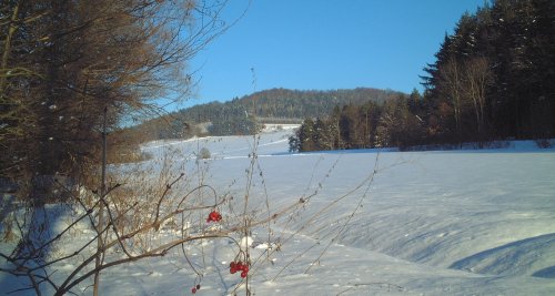 04.01.2002 - Vom Osternohe-Bach zum Breitenberg